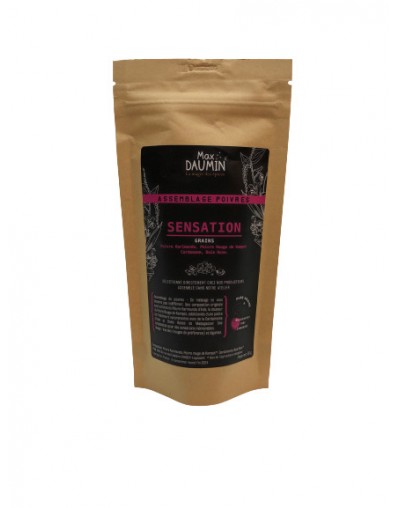 Assemblage de différents poivres ( Poivre de Karimunda, Poivre rouge de Kampot, Cardomome et baie rose ) 50g - Max DAUMIN Assemblage de différents poivres ( Poivre de Karimunda, Poivre rouge de Kampot, Cardomome et baie rose ) 50g - Max DAUMIN